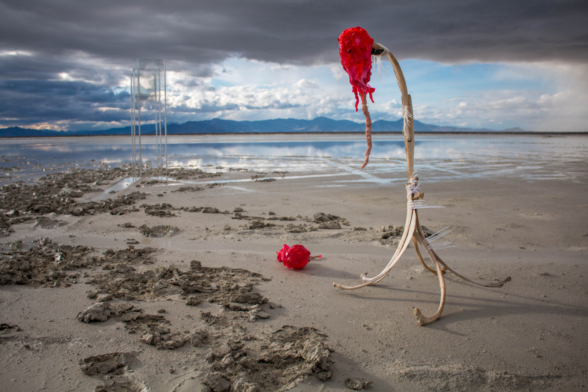 A spindly sculpture of bone with a blob of melted red plastic at the top stands on the sand by the water