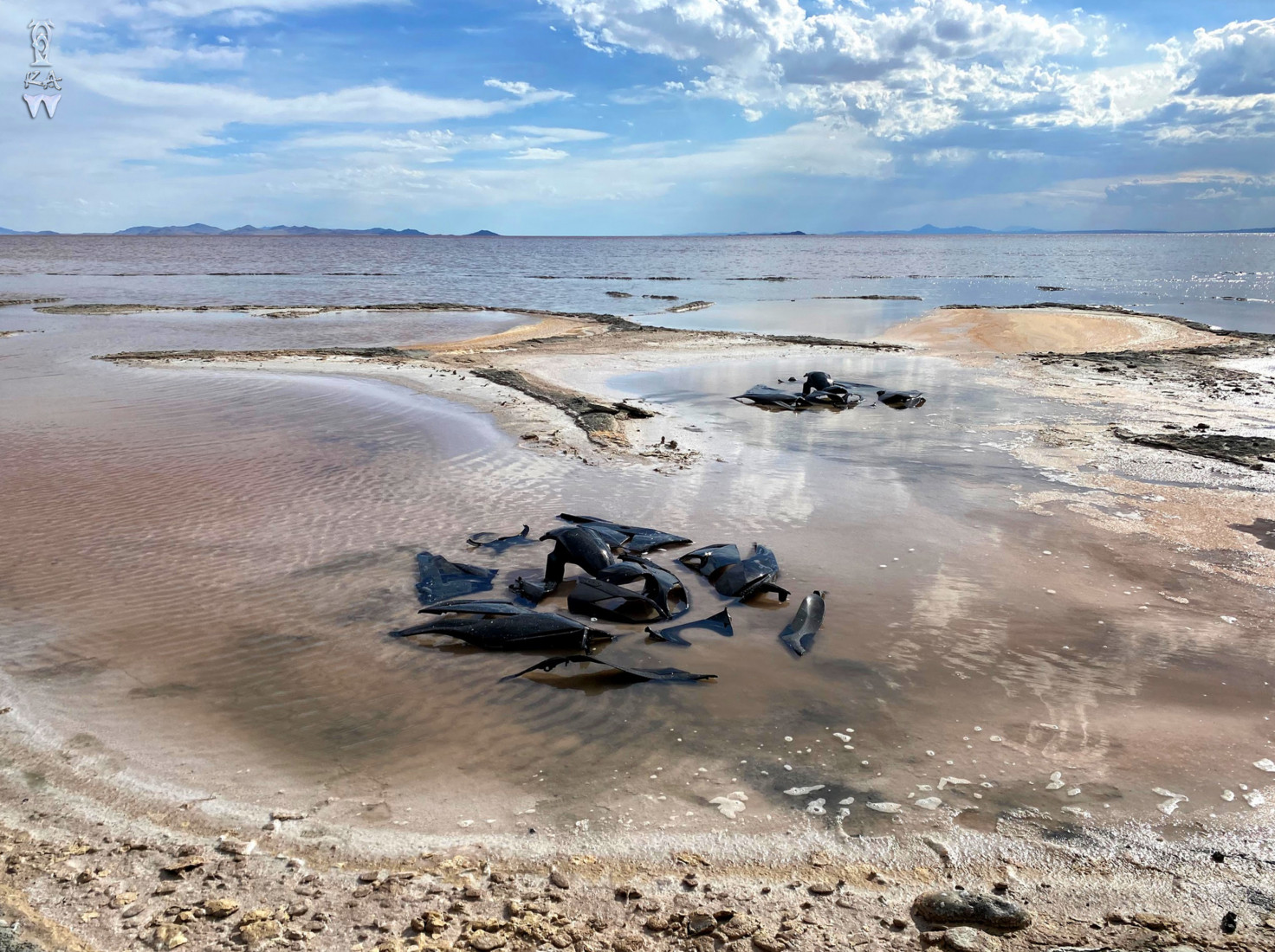 Pieces of black plastic arranged in a tidal pool under a blue sky