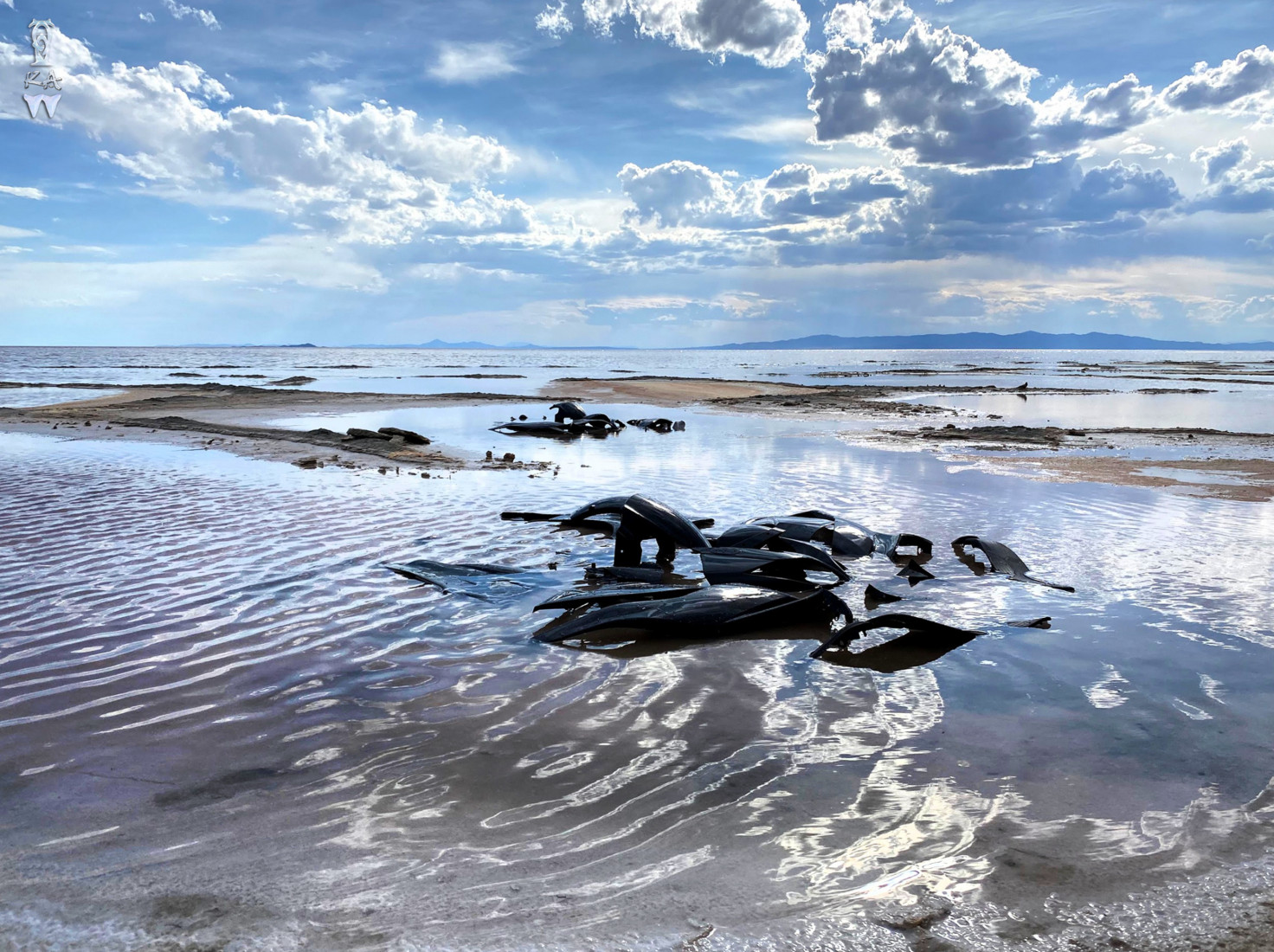 Pieces of black plastic partially submerged on the beach