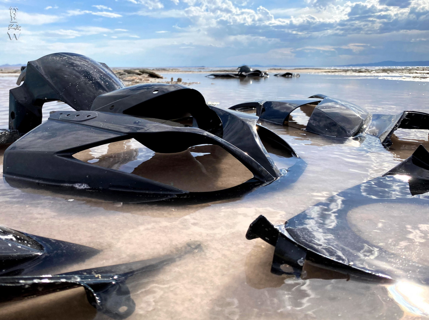 Pieces of black plastic partially submerged on the beach