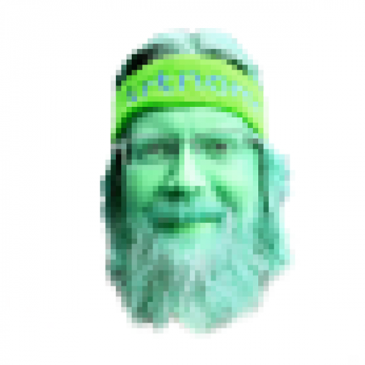 A pixelated green portrait of a main with a long beard, wearing glasses and a headband
