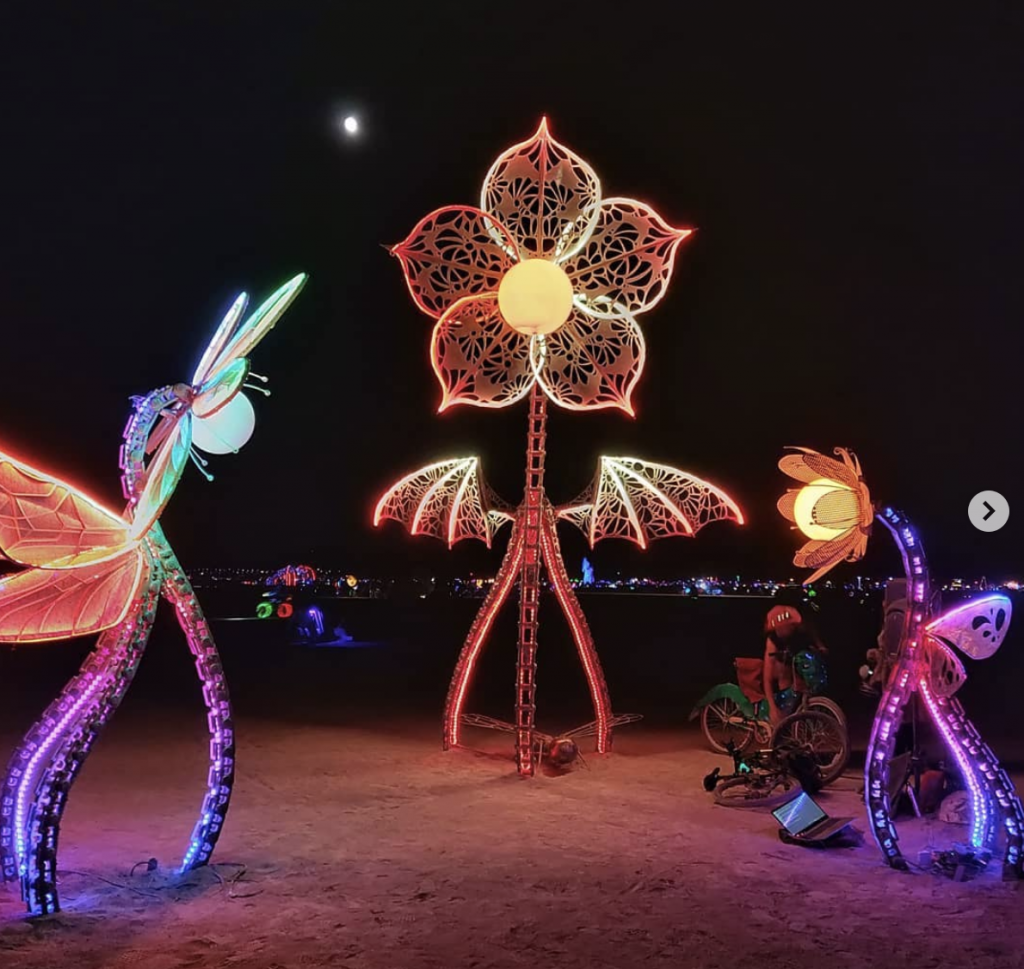 Large metal sculptures of flowers are illuminated in rainbow hues at night