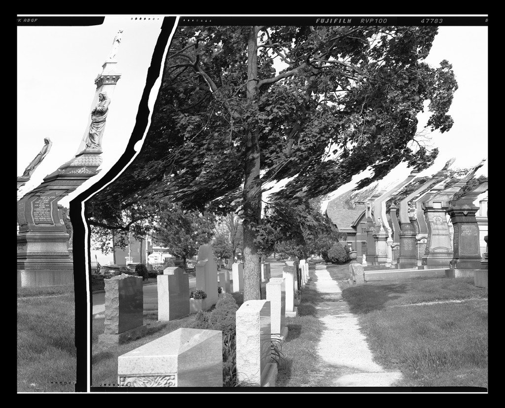 A black-and-white photograph of a tree in a cemetery that has been modified so that the tree stands straight while the rest of the image is warped