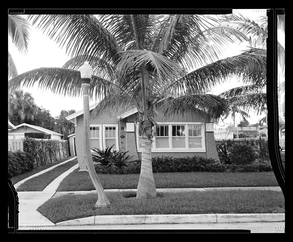 A black-and-white photograph of a palm tree in the front yard of a small house that has been modified so that the tree stands straight while the rest of the image is warped