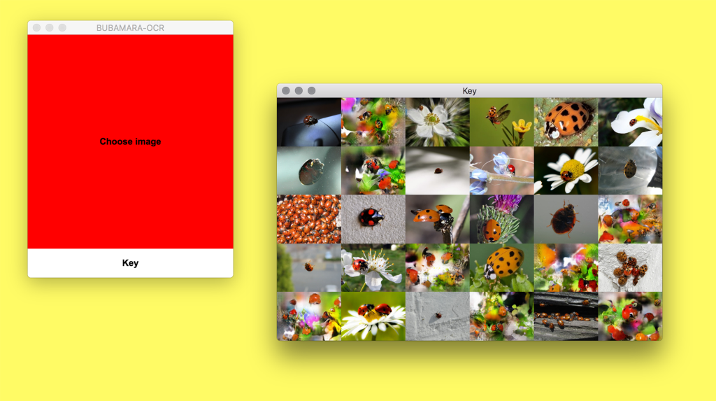 Two program windows on a yellow background. The first says "Choose image" in black text on a red background, and the other shows a grid of photographs of ladybugs.