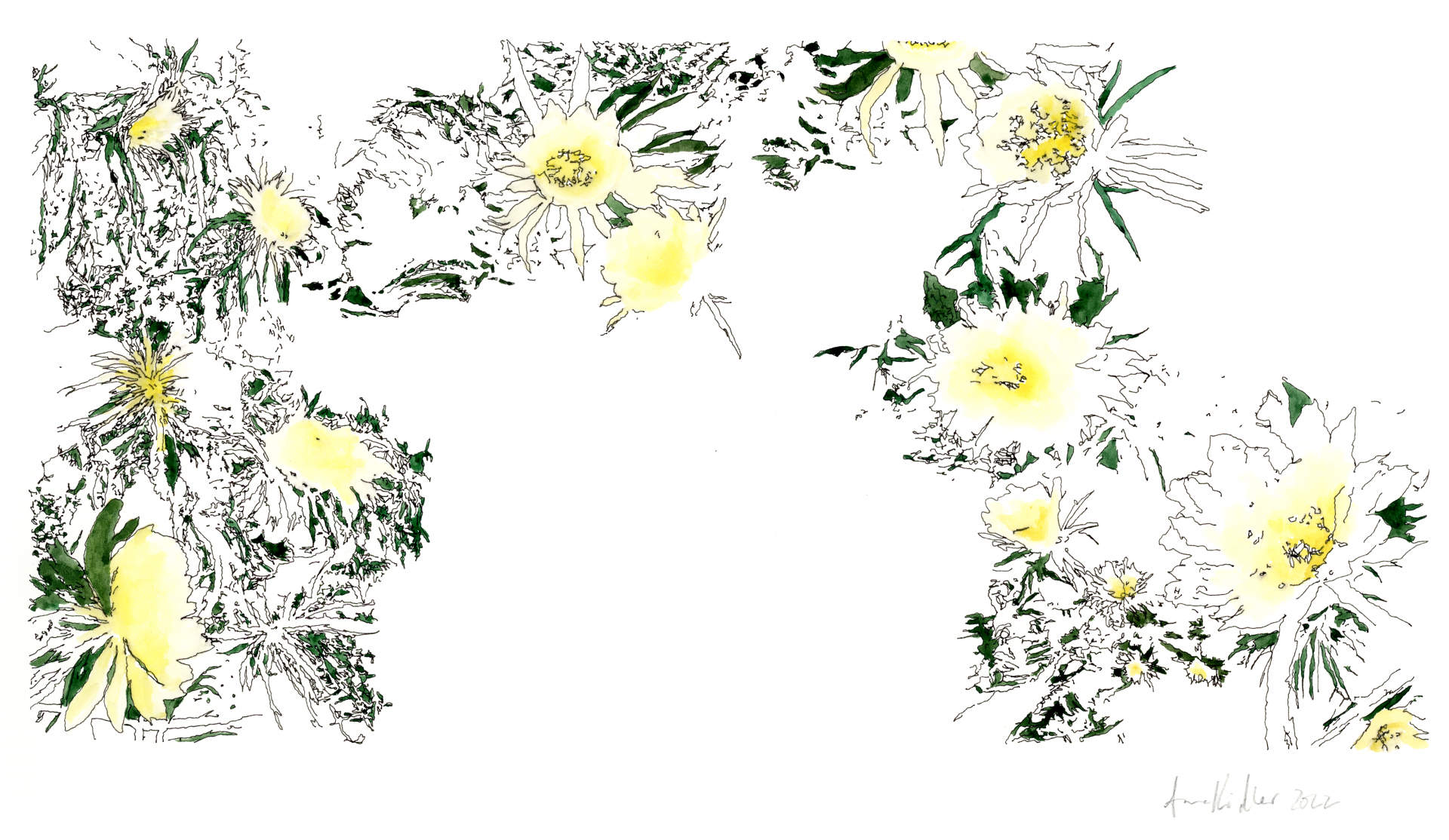 A digital drawing of lightly-drawn flowers in an arc with touches of green and yellow
