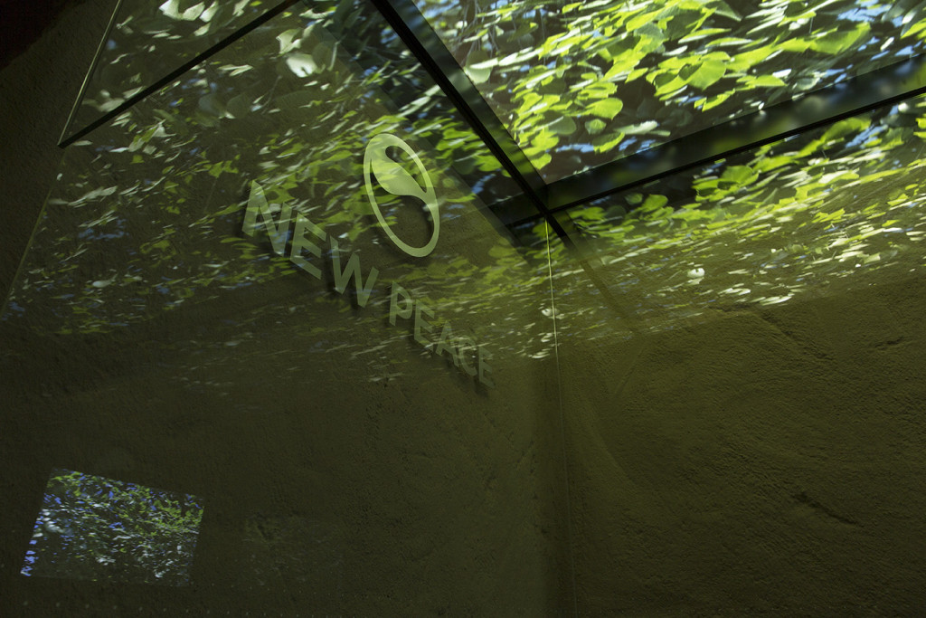 A ceiling corner photographed from below, with a projection of a leafy canopy reflecting on glass walls
