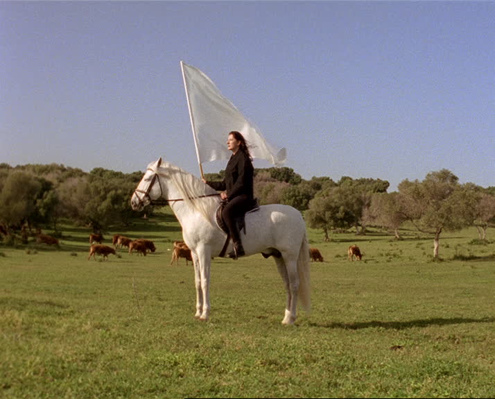 A woman seated on a white horse waves a white flag. She is on a field with brown horses grazing in the background