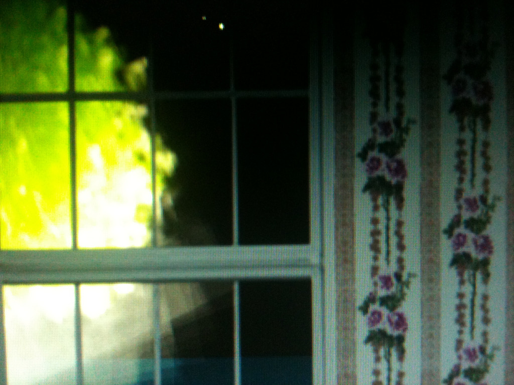 A digital image of a window. A bright greenish light glows in the dark outside. Floral wallpaper borders the windowsill.