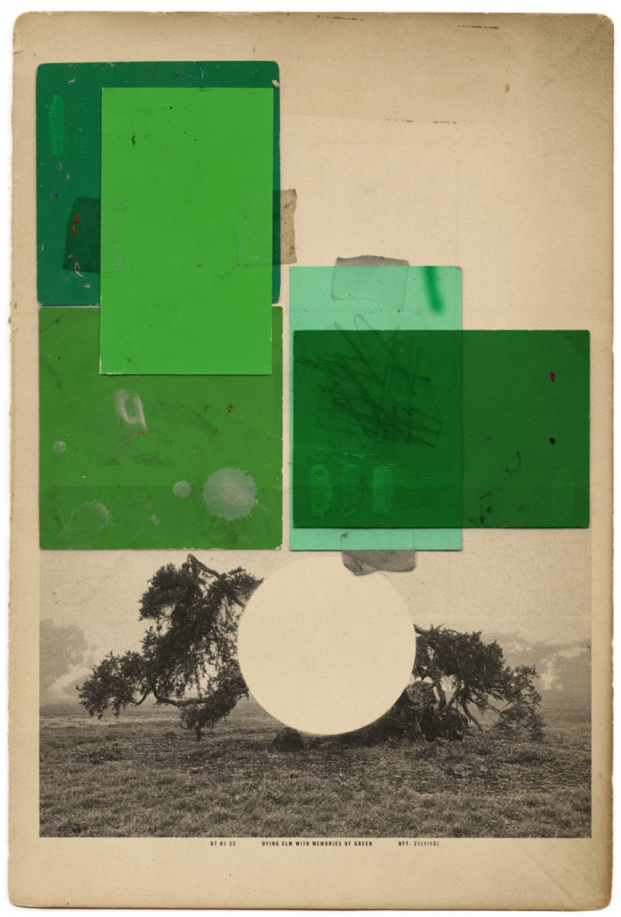 A faded vintage photo of trees in an empty field, overlaid with collaged rectangles of green