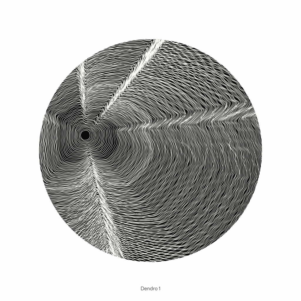 A circle with a black and white design imitating tree growth rings