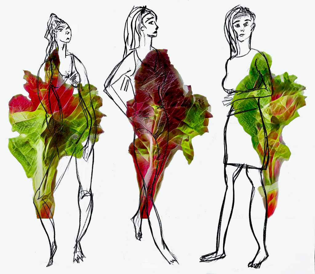 A digital image of three line drawings of fashion models with AI-generated lettuce leafs collaged onto their dresses