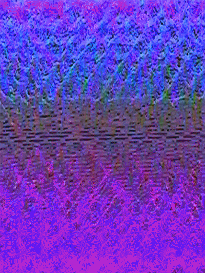 A digital animation of rippling cyan, magenta, green, and violet filaments