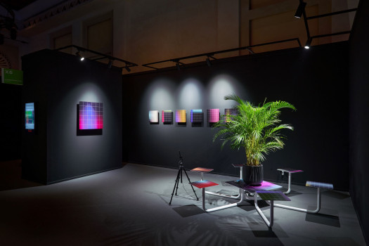 A potted plant sits on a table in an exhibition booth; grids shaded with colorful gradients hang on the black walls