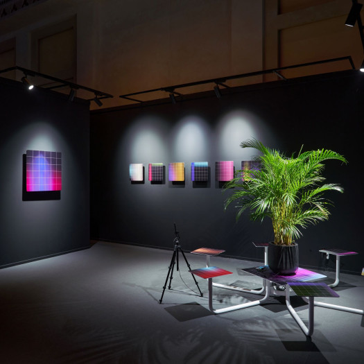 A potted plant sits on a table in an exhibition booth; grids shaded with colorful gradients hang on the black walls