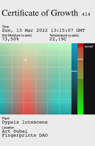 A certificate documenting the soil moisture and temperate of a plant's environment at a specific time