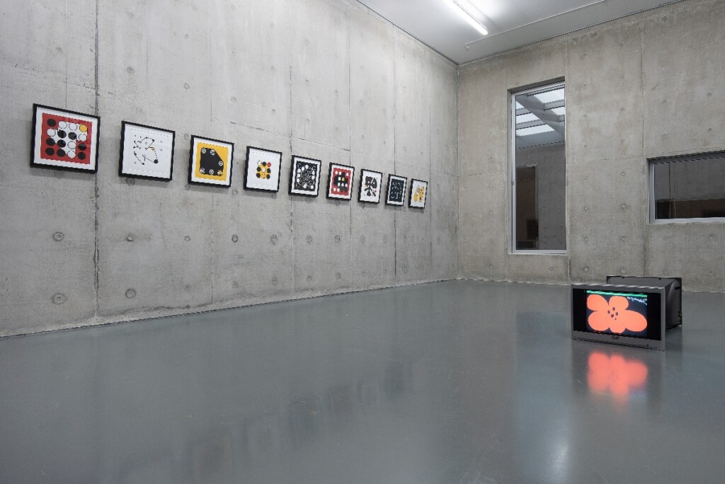 A photo of a grey-walled gallery with a row of printed images in black frames on one wall and a TV monitor on the floor showing a computer graphic image of a red flower