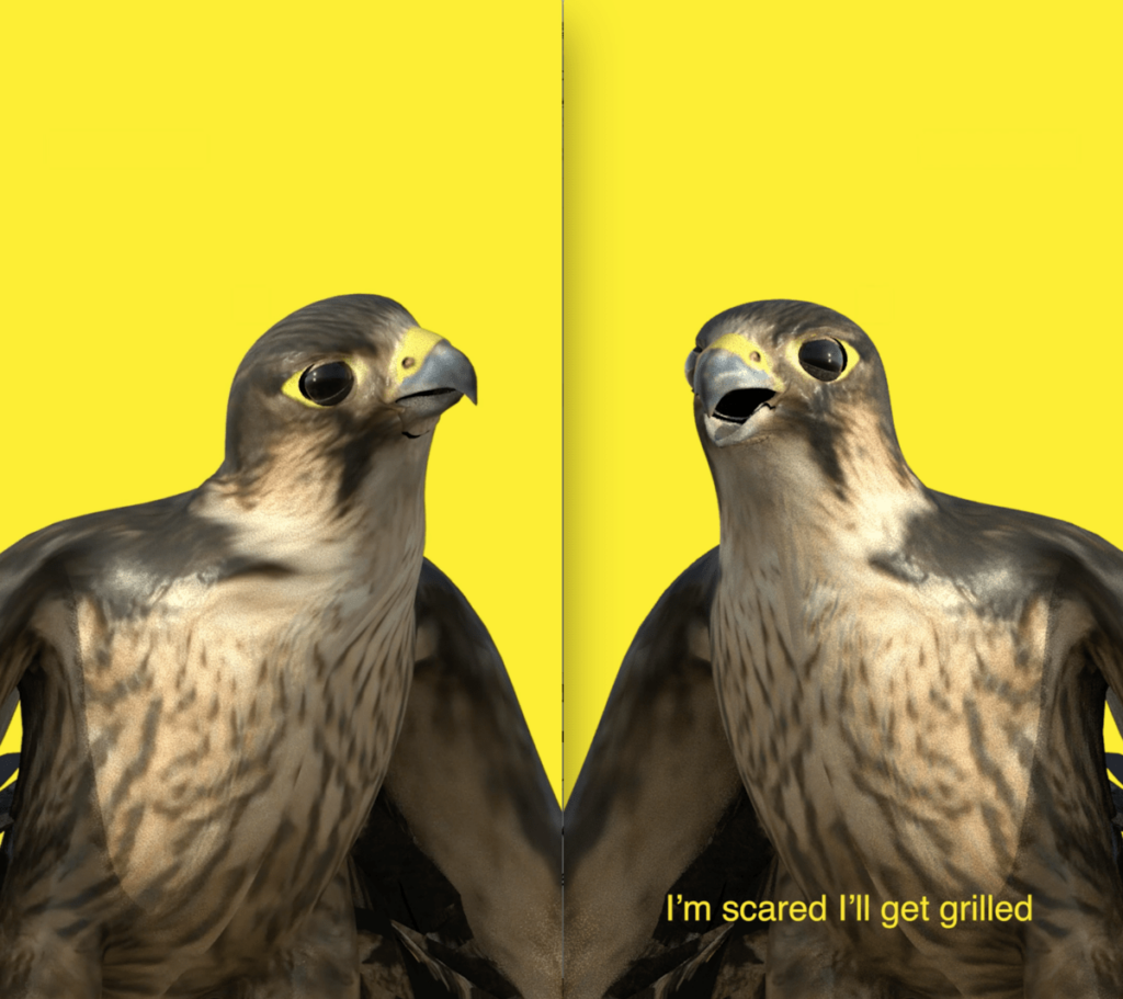 A diptych showing two animated falcons against yellow backgrounds; a subtitle below the falcon on the right reads "I'm scared I'll get grilled"