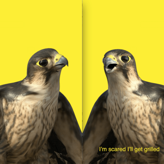 A diptych showing two animated falcons against yellow backgrounds; a subtitle below the falcon on the right reads "I'm scared I'll get grilled"