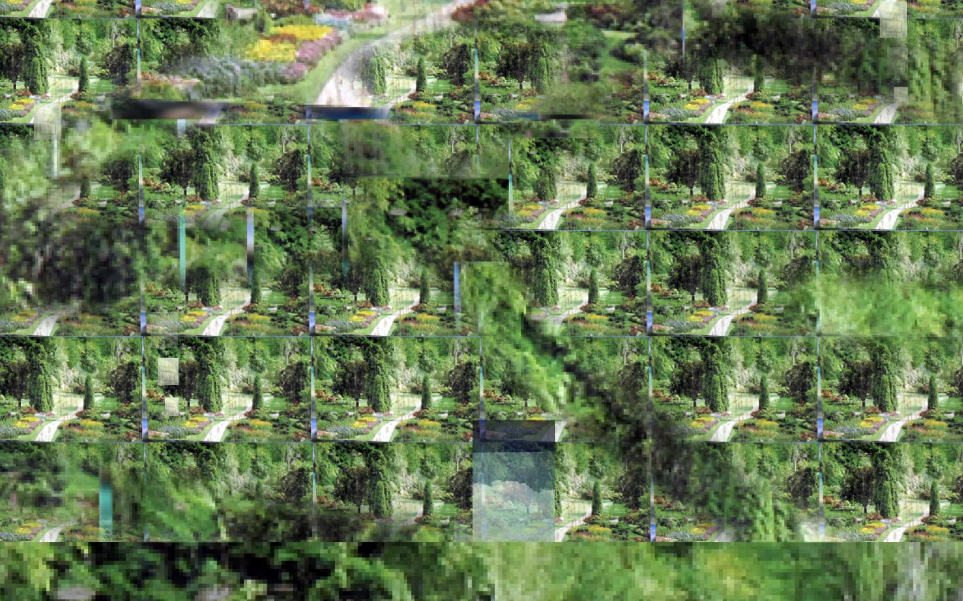 A grid of repeated images of a grassy area